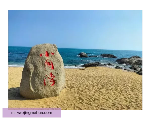 你的天涯，我的海角：那些年我们一起追逐的星辰大海